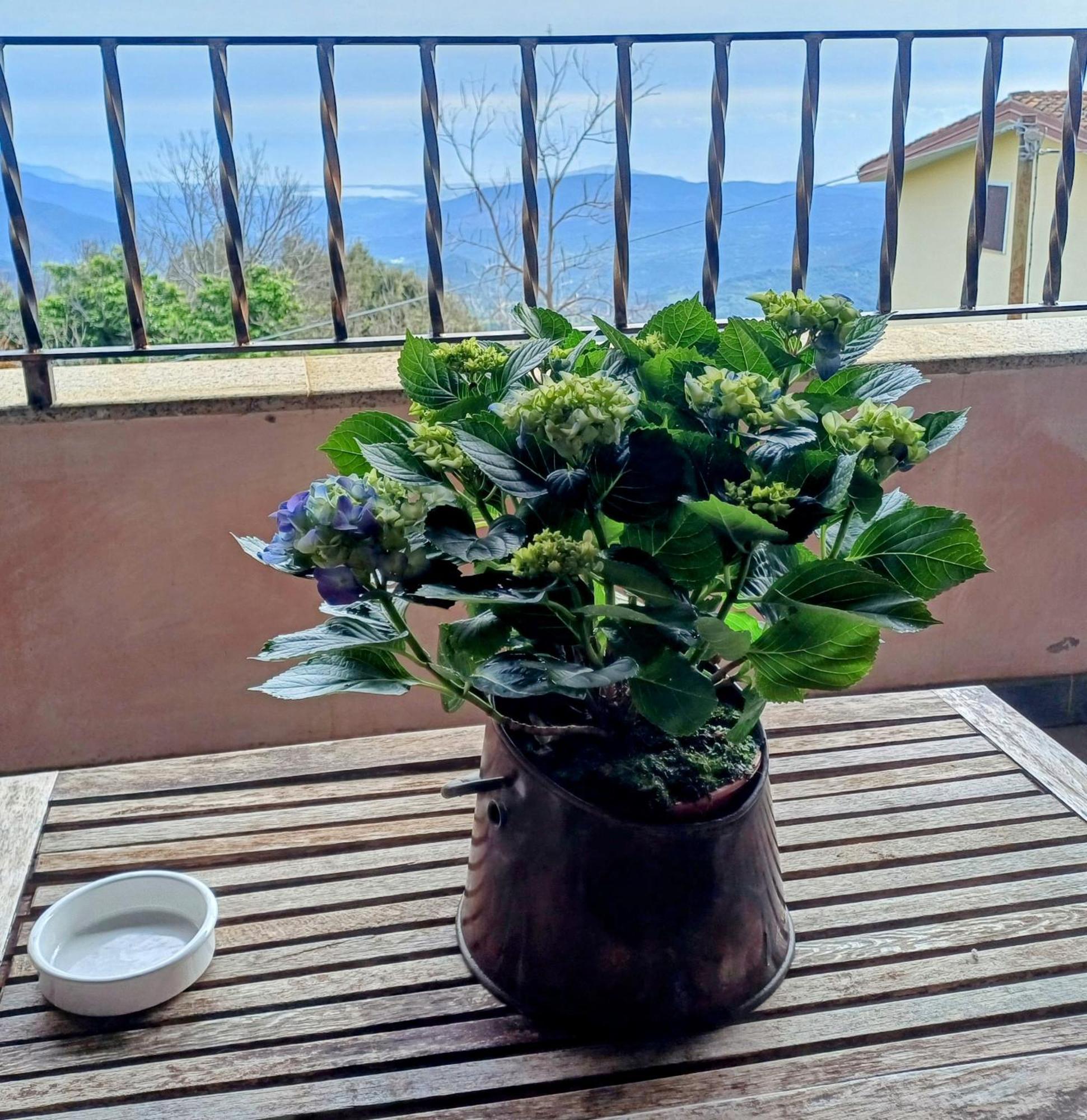 Monti E Mare Bed & Breakfast Lanusei Ngoại thất bức ảnh